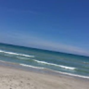 Meet your Posher, The